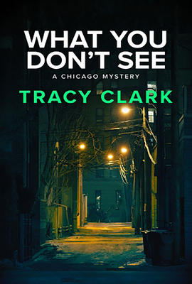 What You Don't See (A Chicago Mystery #3)