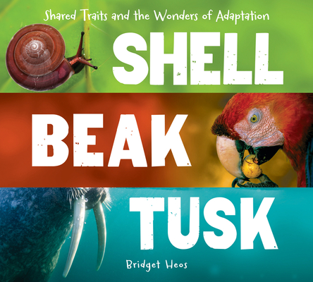 Shell, Beak, Tusk: Shared Traits and the Wonders of Adaptation By Bridget Heos Cover Image