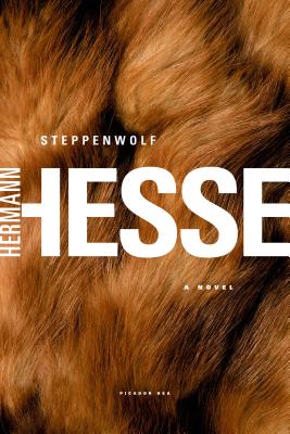 Steppenwolf: A Novel Cover Image