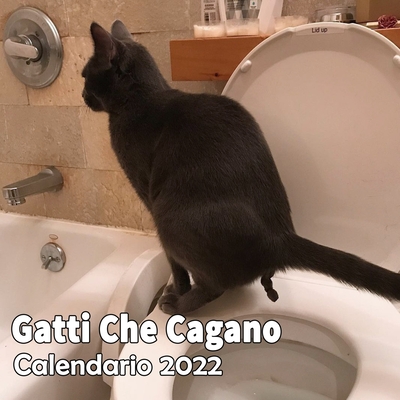Gatti Che Cagano Calendario 2022: Regali Divertenti (Paperback)