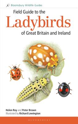 Field Guide to the Ladybirds of Great Britain and Ireland (Field Guides) By Helen Roy, Peter Brown, Richard Lewington (Illustrator) Cover Image