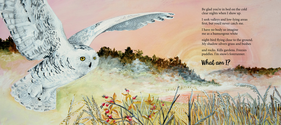 So Imagine Me: Nature Riddles in Poetry By Lynn Davies, Chrissie Park-MacNeil (Illustrator) Cover Image