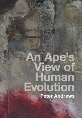 An Ape's View of Human Evolution By Peter Andrews Cover Image