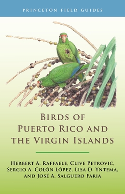Birds of Puerto Rico and the Virgin Islands: Fully Revised and Updated Third Edition (Princeton Field Guides #146) By Herbert A. Raffaele, Clive Petrovic, Sergio A. Colón López Cover Image