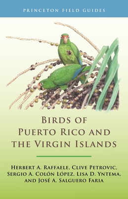 Birds of Puerto Rico and the Virgin Islands: Fully Revised and Updated Third Edition (Princeton Field Guides #146) Cover Image