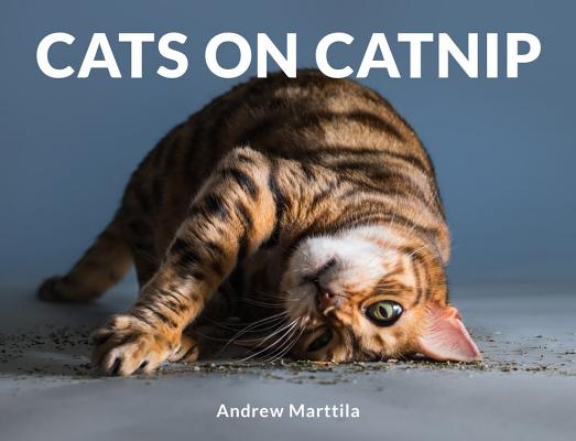 Cats on Catnip By Andrew Marttila Cover Image