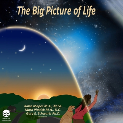 The Big Picture of Life (MP3 CD) | Theodore's Books