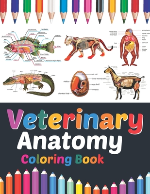 Veterinary Anatomy Coloring Book: Veterinary Anatomy Self Test Guide for students. Animal Art & Anatomy Workbook for Kids & Adults. Perfect Gift for V Cover Image