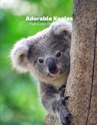 Adorable Little Koalas Full-Color Picture Book: Australia Bear Animals Photography Book By Fabulous Book Press Cover Image