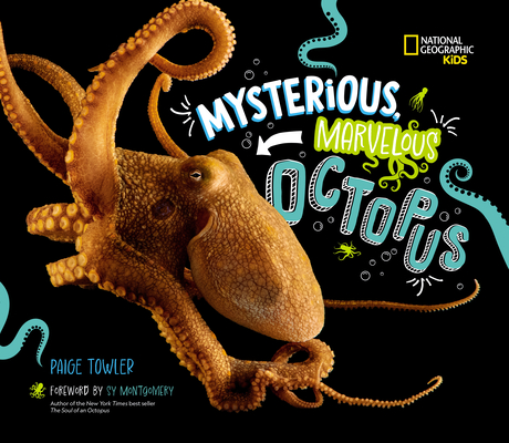 Mysterious, Marvelous Octopus! Cover Image