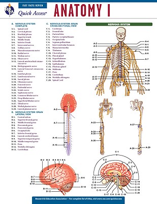 Anatomy I (Quick Access) | Third Place Books