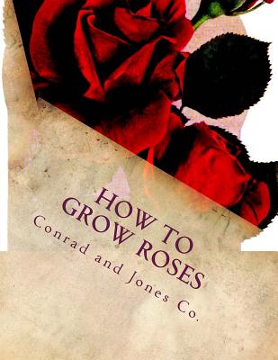 How To Grow Roses: Dedicated to the Flower Loving People of America By Roger Chambers (Introduction by), Conrad And Jones Co Cover Image