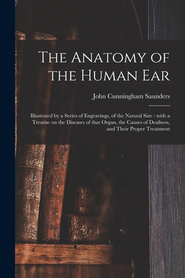 left human ear