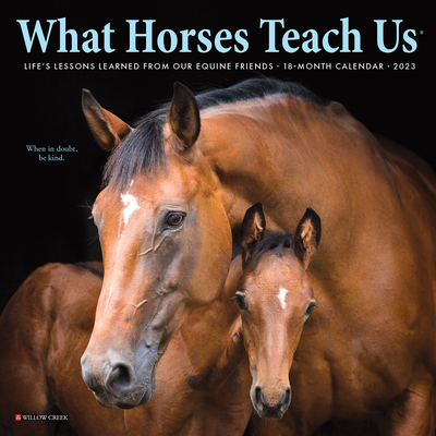 What Horses Teach Us 2023 Mini Wall Calendar By Willow Creek Press Cover Image