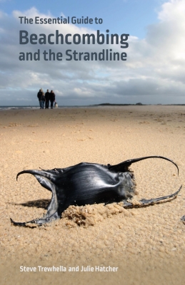 The Essential Guide to Beachcombing and the Strandline Cover Image