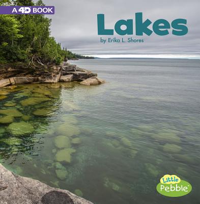 Lakes: A 4D Book (Bodies of Water) By Erika L. Shores Cover Image
