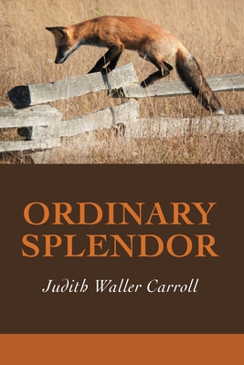 Cover for Ordinary Splendor