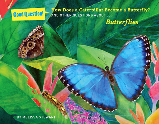 How Does a Caterpillar Become a Butterfly?: And Other Questions about Butterflies (Good Question!) Cover Image