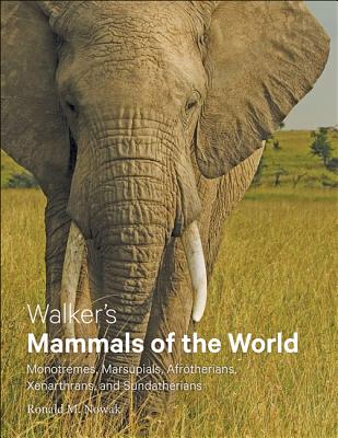 Walker's Mammals of the World: Monotremes, Marsupials, Afrotherians, Xenarthrans, and Sundatherians By Ronald M. Nowak Cover Image