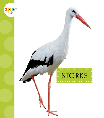 Storks (Spot Big Birds) By Lisa Amstutz Cover Image