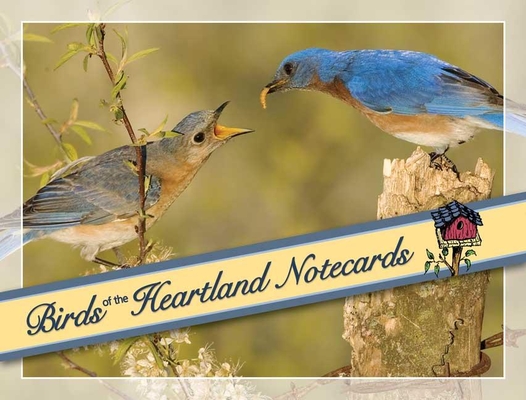 Birds of the Heartland Notecards [With 12 Envelopes] By Stan Tekiela (Photographer) Cover Image