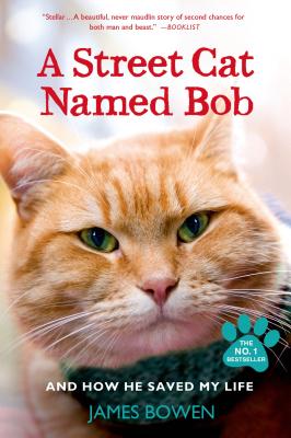 A Street Cat Named Bob: And How He Saved My Life Cover Image