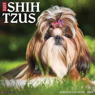 Just Shih Tzus 2023 Wall Calendar By Willow Creek Press Cover Image