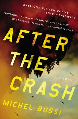 Cover Image for After the Crash: A Novel