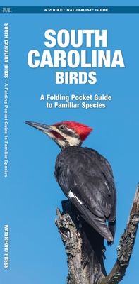South Carolina Birds: A Folding Pocket Guide to Familiar Species Cover Image