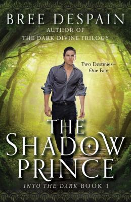 Cover for The Shadow Prince (Into the Dark #1)