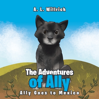 The Adventures of Ally: Ally Goes to Mexico Cover Image