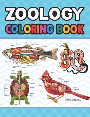 Zoology Coloring Book: Learn The Zoology & Enhance Your Practice. Animal  Anatomy and Veterinary Anatomy Coloring Book. Dog Cat Horse Frog Bir  (Paperback) | Books and Crannies