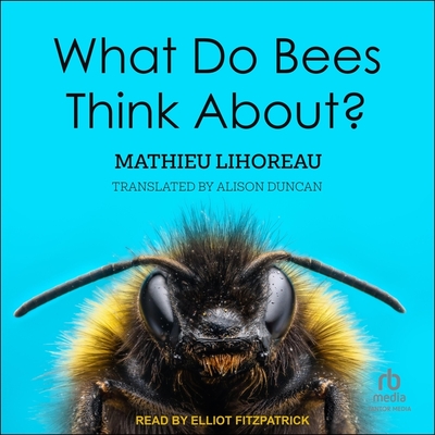 What Do Bees Think About?