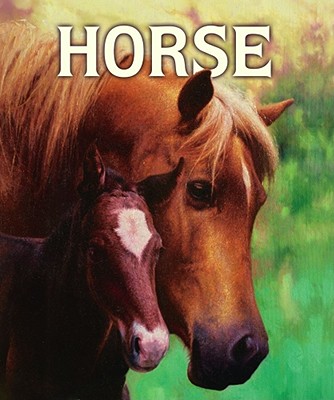 Cover Image for Horse