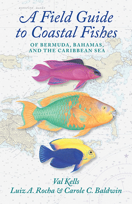 A Field Guide to Coastal Fishes of Bermuda, Bahamas, and the Caribbean Sea By Valerie A. Kells, Luiz A. Rocha, Carole C. Baldwin Cover Image