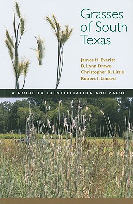 Grasses of South Texas: A Guide to Identification and Value (Grover E. Murray Studies in the American Southwest) Cover Image