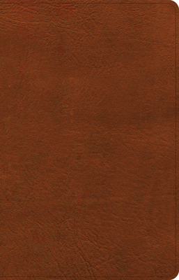CSB Thinline Bible, Burnt Sienna LeatherTouch Cover Image