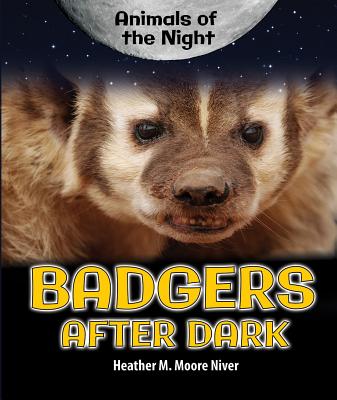 Badgers After Dark (Animals of the Night) Cover Image