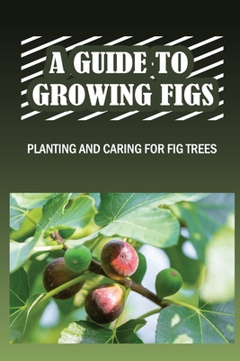 A Guide To Growing Figs: Planting And Caring For Fig Trees: Growing Fig Trees In Containers Cover Image