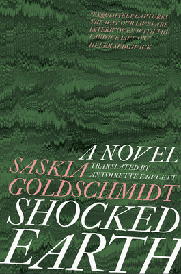 Shocked Earth By Saskia Goldschmidt, Antoinette Fawcett (Translator) Cover Image