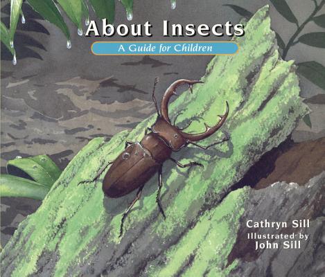 Cover for About Insects