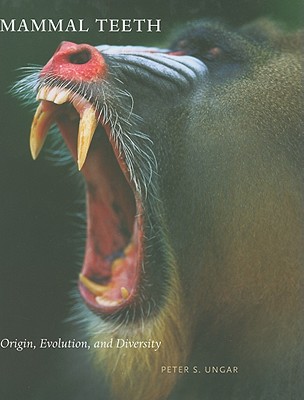 Mammal Teeth: Origin, Evolution, and Diversity By Peter S. Ungar Cover Image