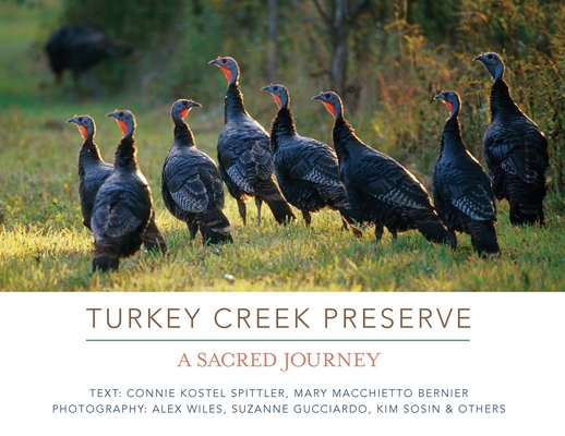 Turkey Creek Preserve: A Sacred Journey Cover Image