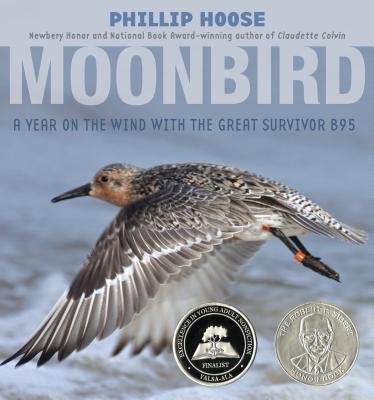 Moonbird: A Year on the Wind with the Great Survivor B95 By Phillip Hoose Cover Image