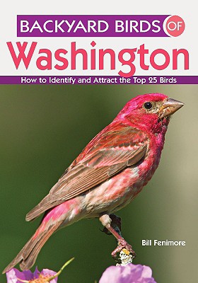 Backyard Birds of Washington: How to Identify and Attract the Top 25 Birds (Backyard Birds Of...) By Bill Fenimore Cover Image