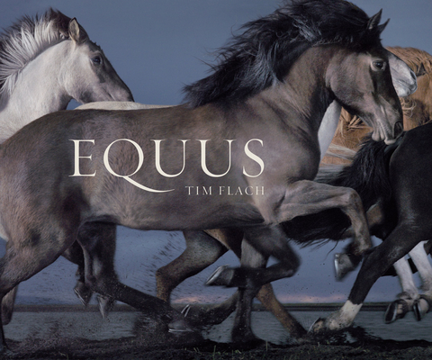 Equus (Mini) By Tim Flach Cover Image