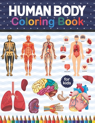 Download Human Body Coloring Book For Kids Human Body Student S Self Test Coloring Book Human Body Anatomy Coloring Book For Medical High School Students G Paperback The Reading Bug