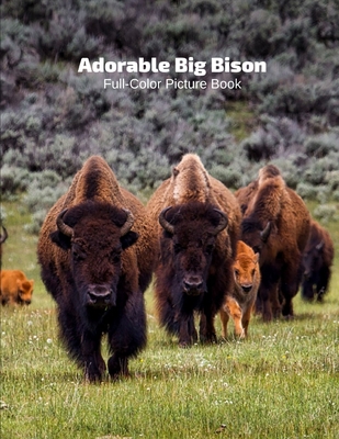 Adorable Big Bison Full-Color Picture Book: Buffaloes Picture Book - Nature American Buffalo Animals Cover Image