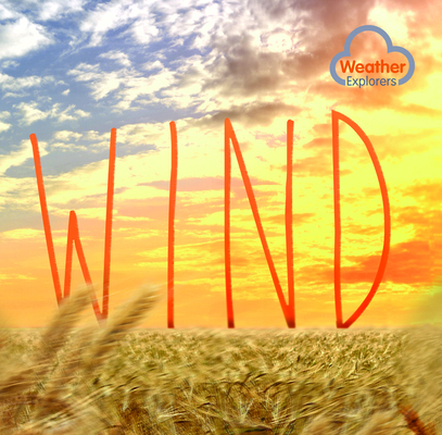 Wind (Weather Explorers) By Harriet Brundle Cover Image