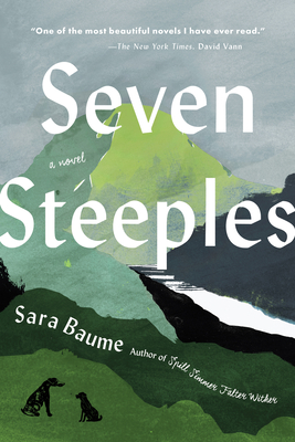 Seven Steeples: A Novel By Sara Baume Cover Image
